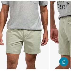 Chubbies Men's Shorts